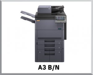 VAI A MULTIFUNZIONE A3 B/N